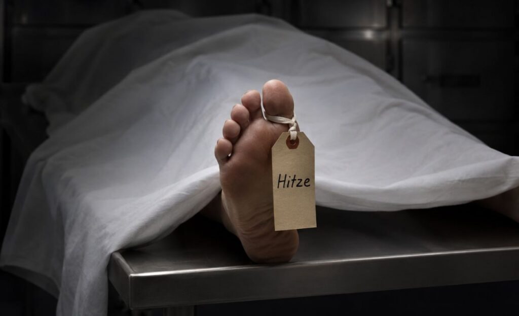 Hitzetote
